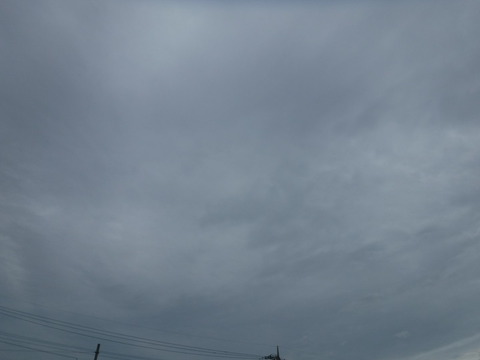 DSCF0844