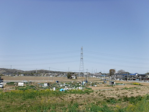 DSCF8011