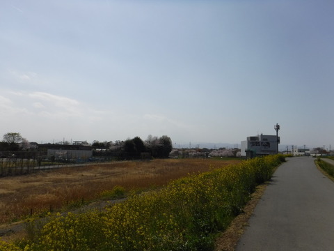 DSCF8105