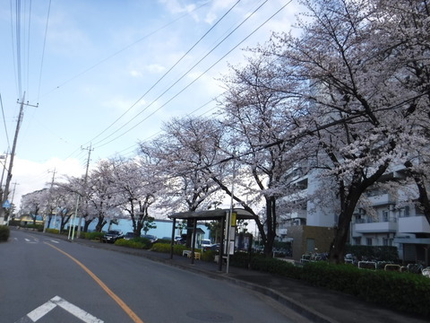 DSCF7979
