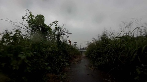 MP4_000861210
