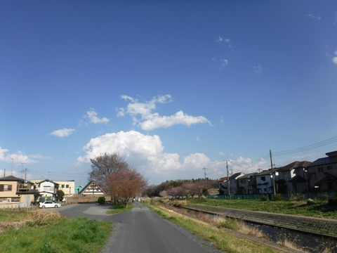 DSCF7993