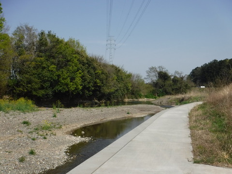 DSCF8531