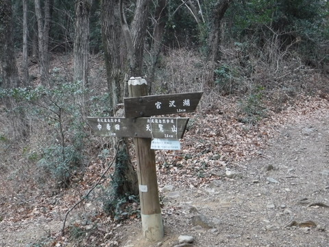 DSCF7451