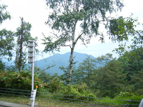 DSCF2546