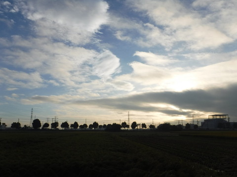 DSCF6527
