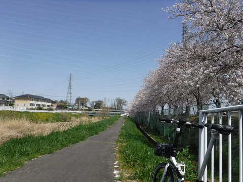 DSCF8037