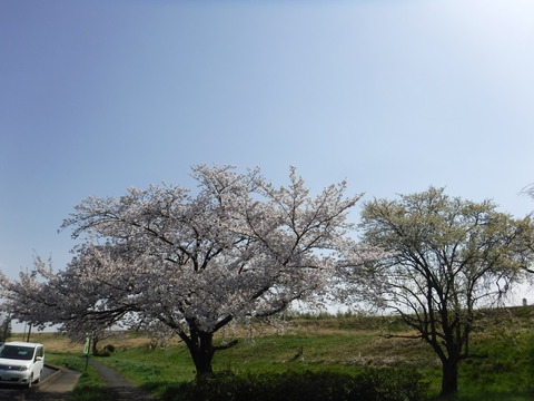 DSCF8091