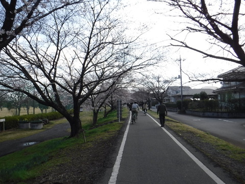 DSCF7963
