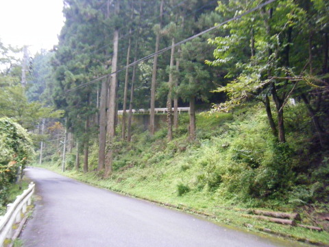 DSCF2461