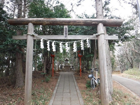 DSCF7538