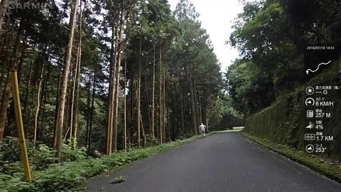 mp4_000547769