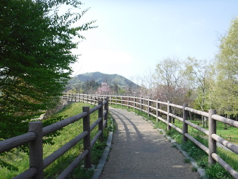 DSCF8579