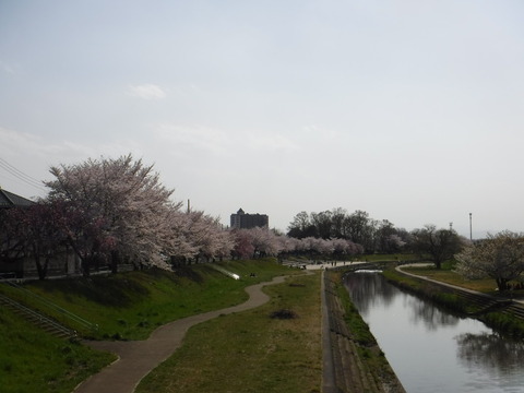 DSCF8169