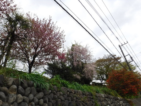 DSCF0114