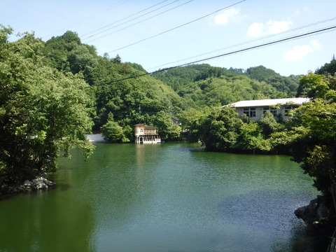 DSCF6013