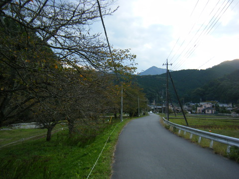 DSCF2594