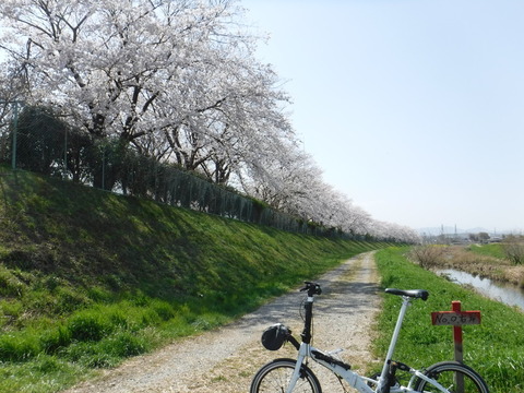 DSCF8062