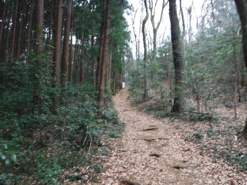 DSCF7470