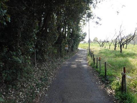 DSCF8547