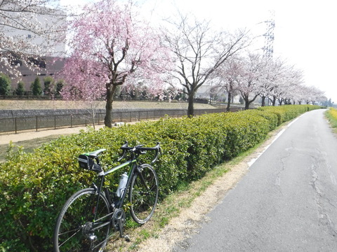 DSCF7944
