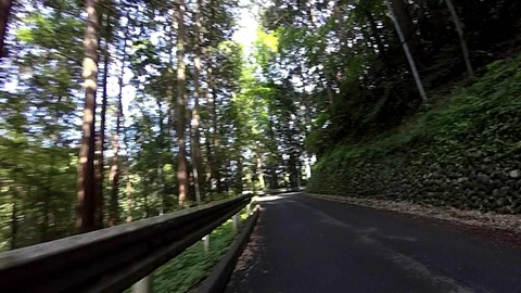 mp4_000053175
