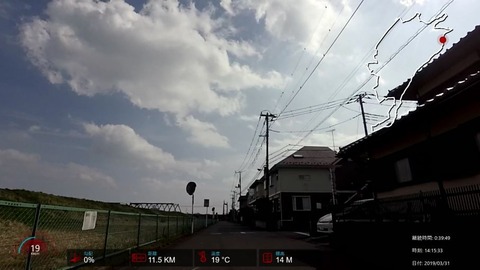 190331_Sakura.mp4_002394158