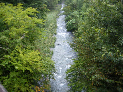 DSCF2524