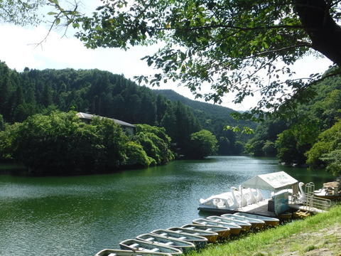DSCF6011