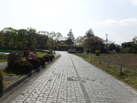 DSCF8562