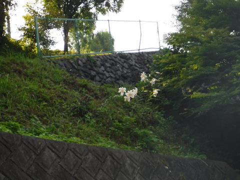 DSCF2838