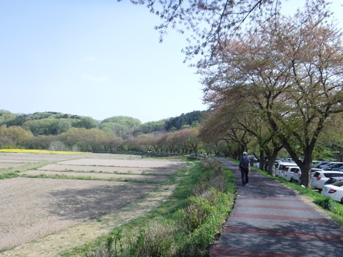 DSCF8563