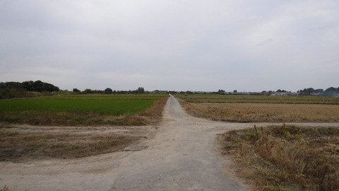 DSCF2986