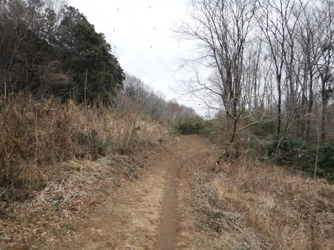 DSCF7479