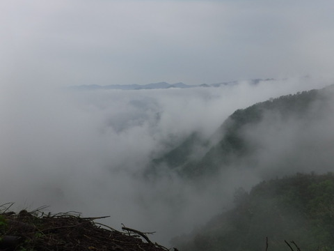 DSCF1013