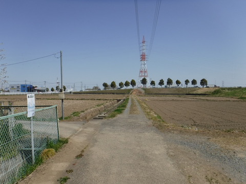 DSCF8034