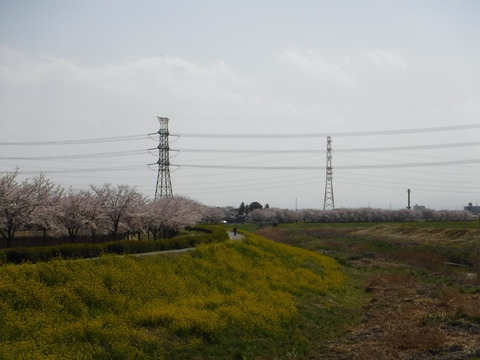 DSCF8117