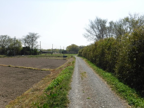 DSCF8485