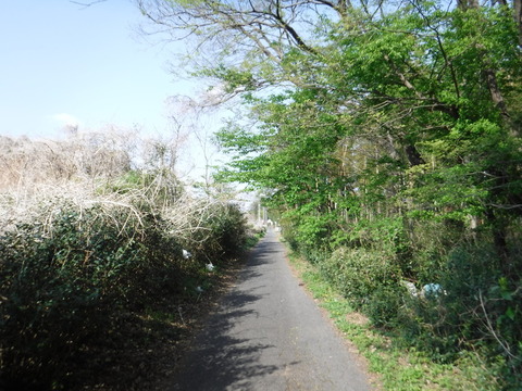 DSCF8594