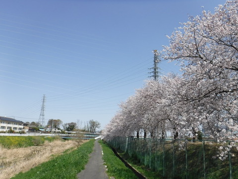 DSCF8038