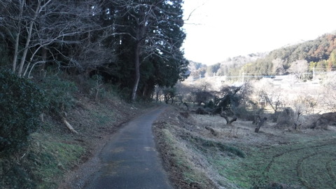 DSCF4087
