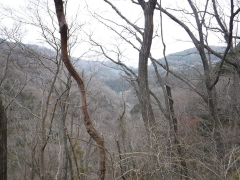 DSCF7890