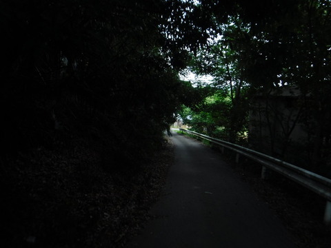 DSCF0352