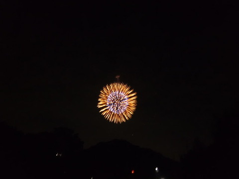 DSCF1194