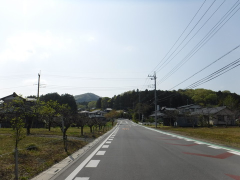 DSCF8544