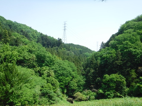 DSCF2432