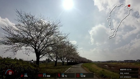 190331_Sakura.mp4_001641623