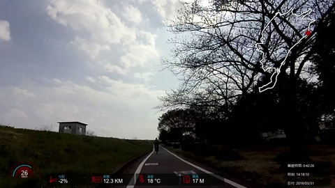 190331_Sakura.mp4_002551348
