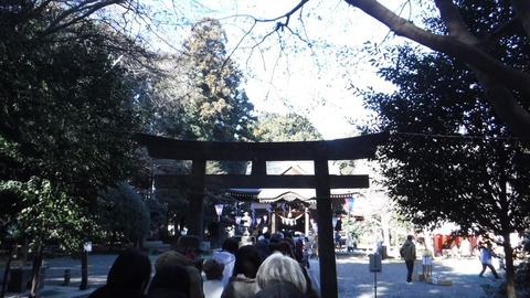 DSCF3700