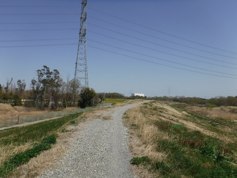 DSCF8067